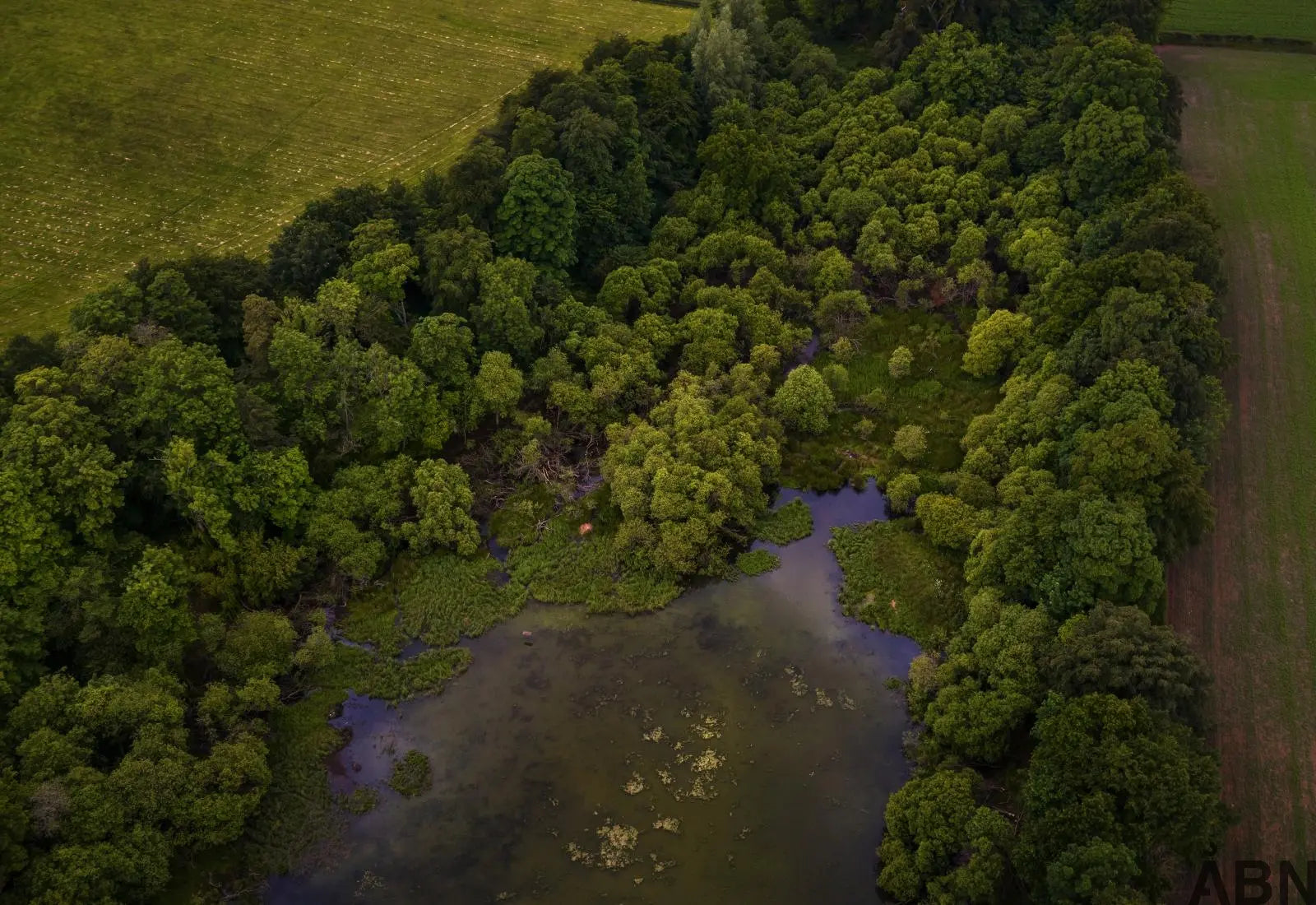 What is CO₂ and why is it important for the indoor climate? 