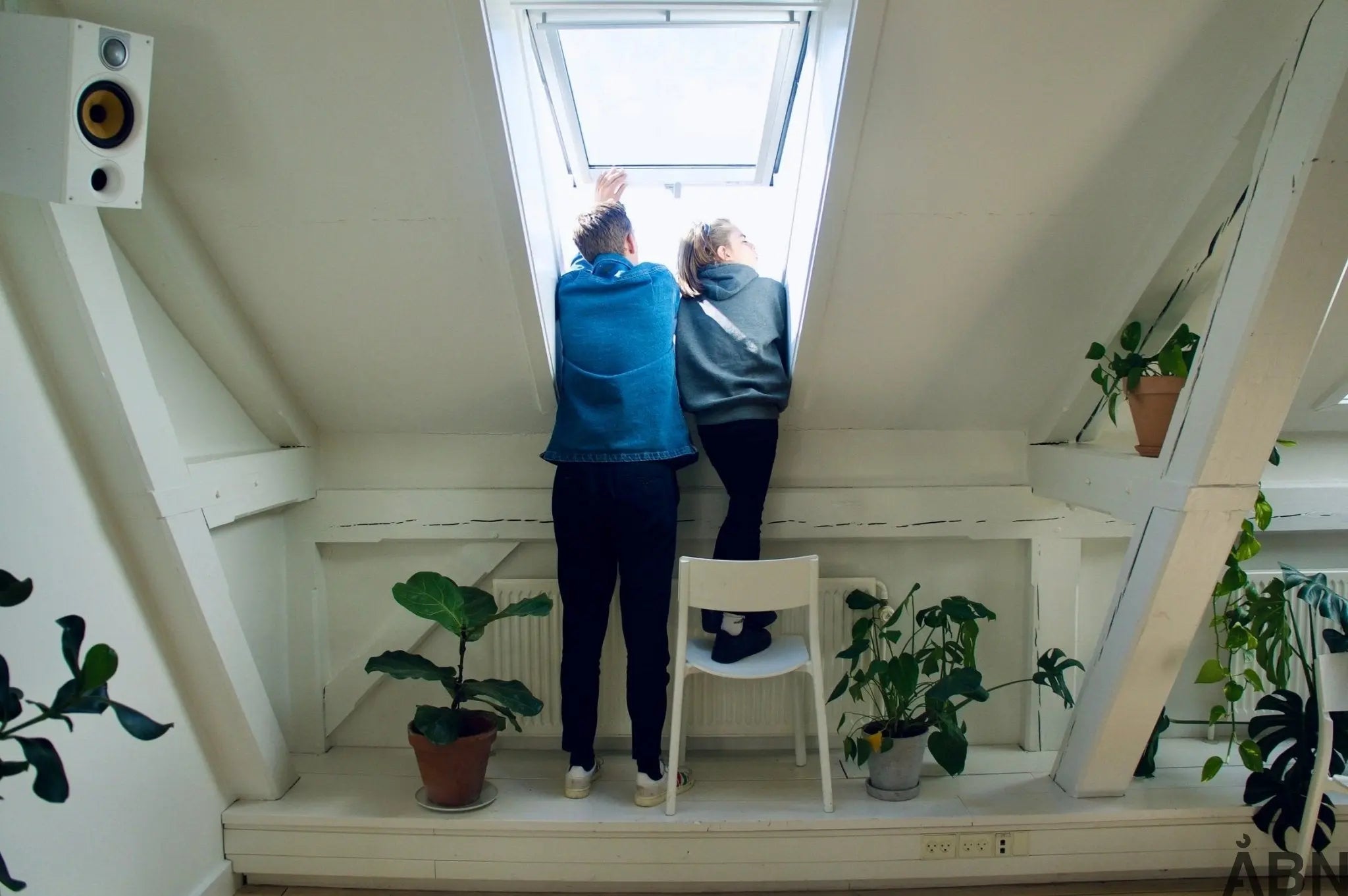 Are you considering buying an air purifier but are unsure whether it has the right effect? So read along here!