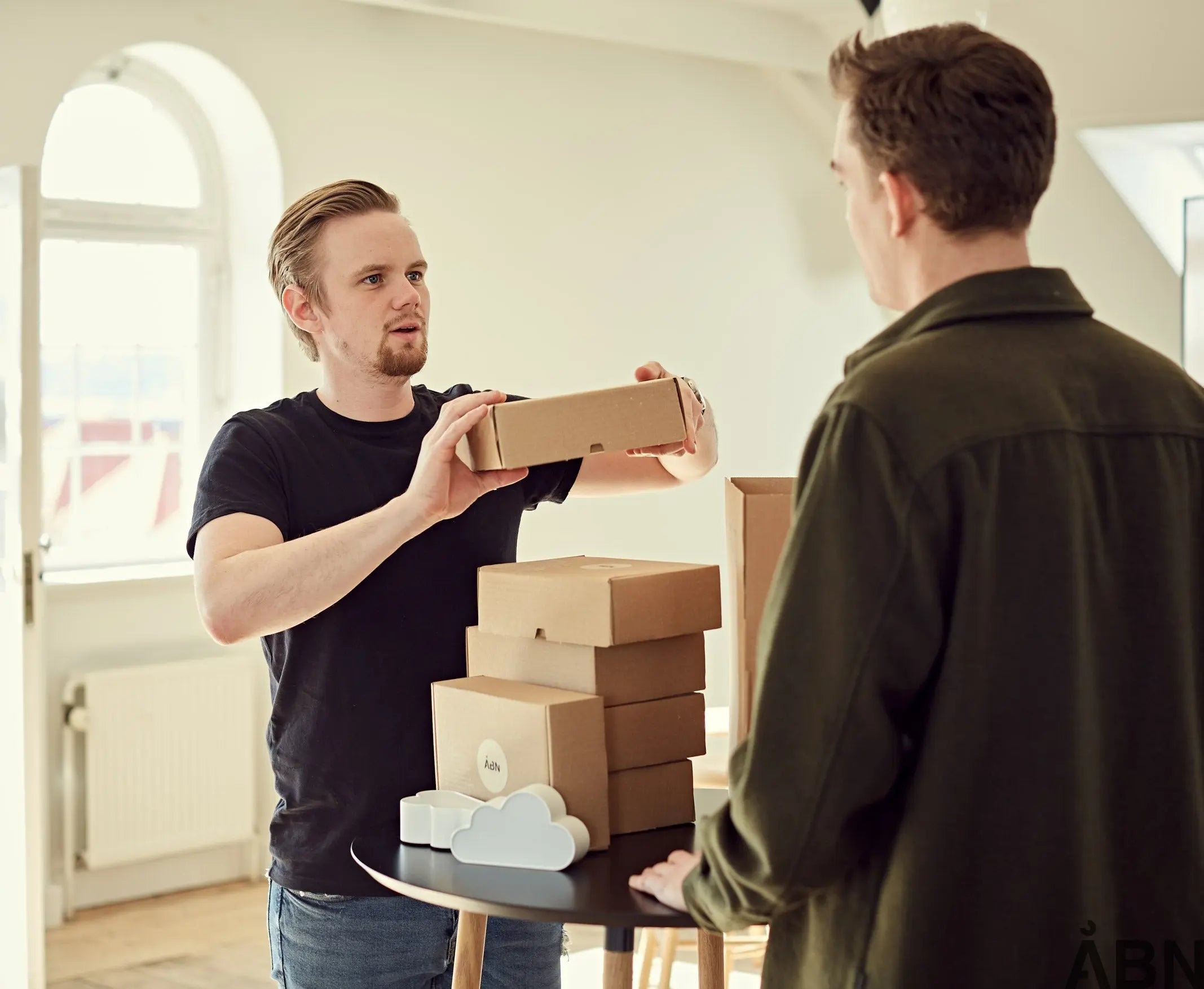 Registrering af SKYEN til platformen