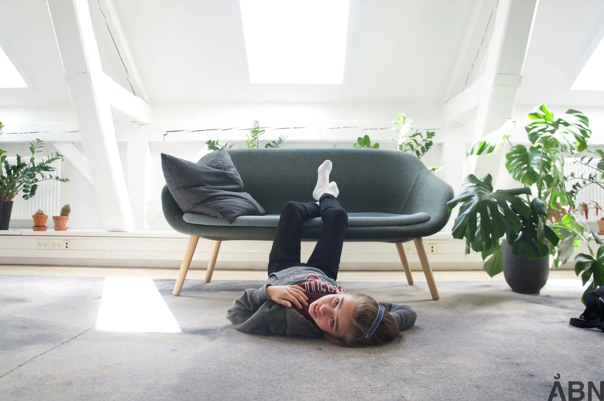 That's how many plants you have to buy to generate enough Co2 for an entire primary school class - right? 