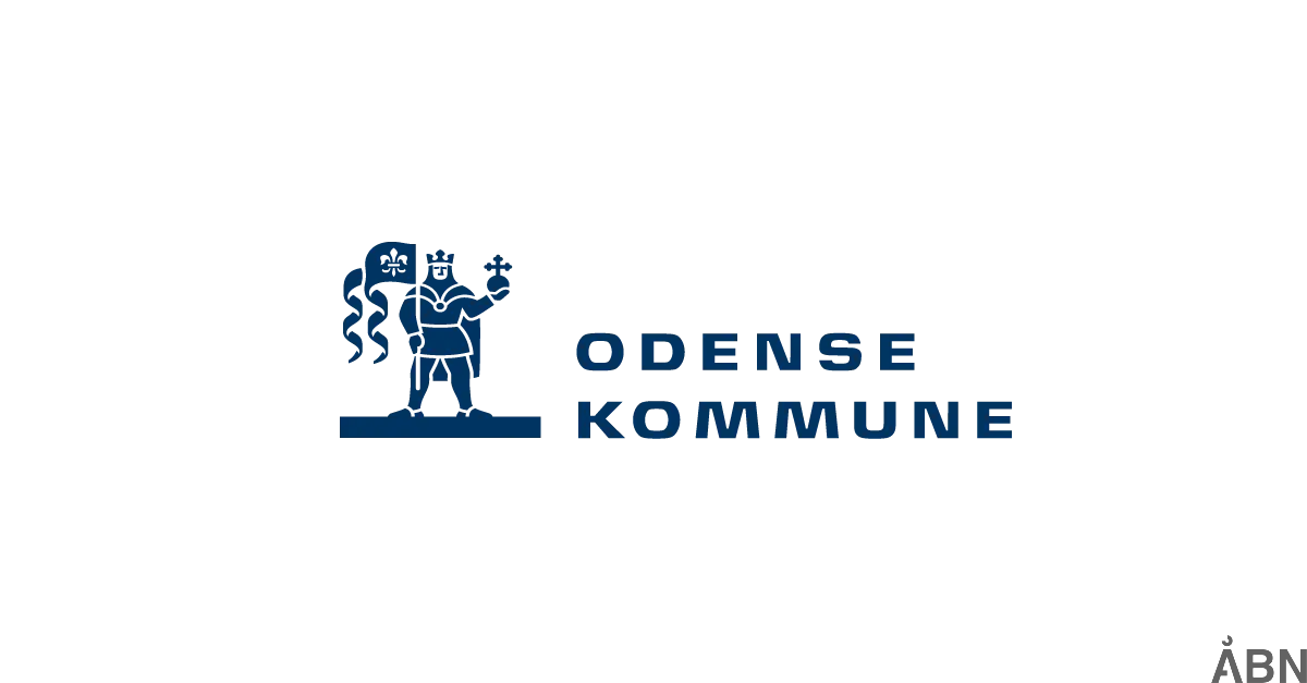 Youth Education Guide in Odense Municipality